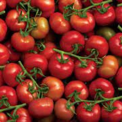 tomates